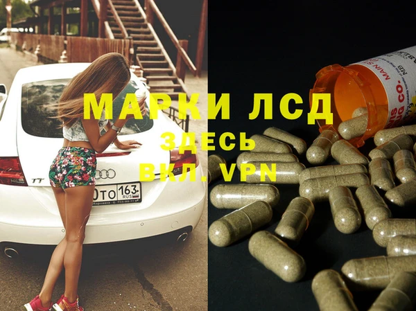 крисы Абаза