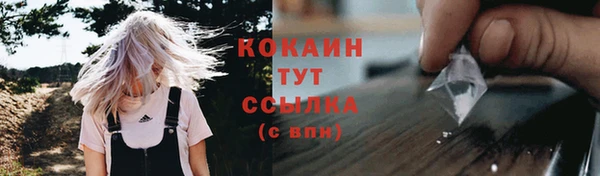 крисы Абаза