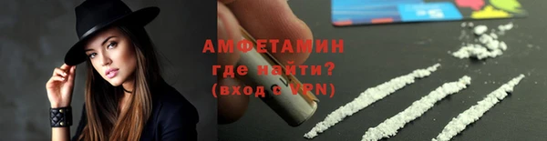 крисы Абаза