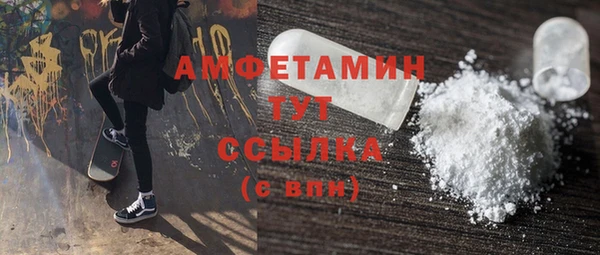 крисы Абаза