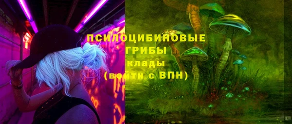 крисы Абаза