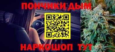 тгк Новодвинск