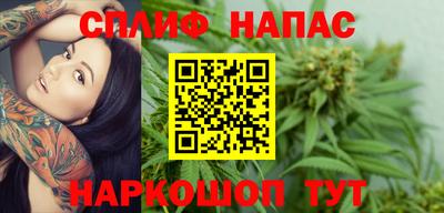 тгк Новодвинск
