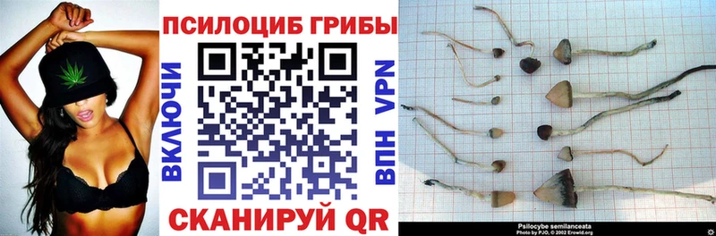 darknet наркотические препараты  цены наркотик  Ярославль  Галлюциногенные грибы прущие грибы 