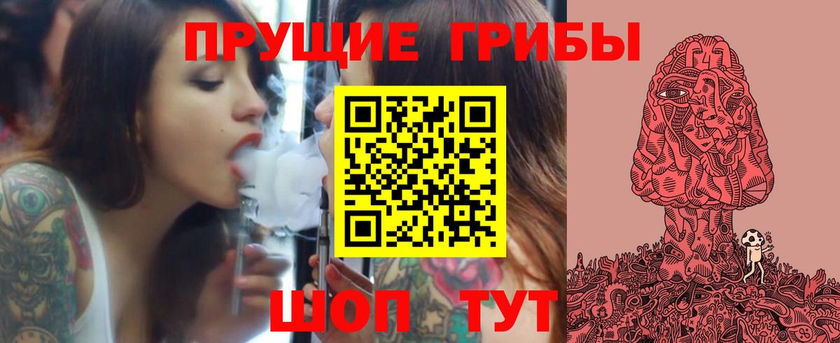 Ярославль  Псилоцибиновые грибы Psilocybe  Вход с VPN  Псилоцибиновые грибы Psilocybe 
